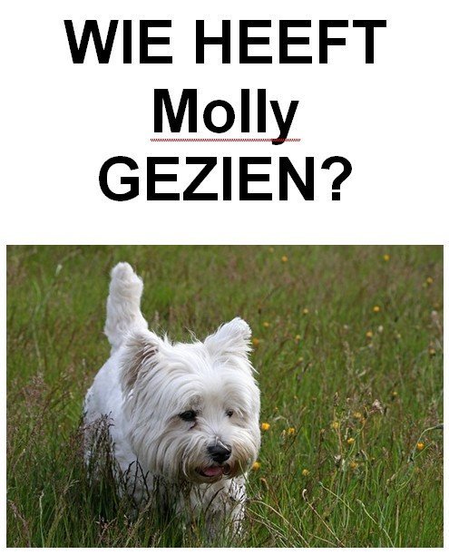 wie heeft molly gezien