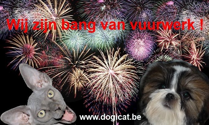 vuurwerk tips bij huisdieren