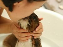 10 tips bij het kiezen van hondenshampoo