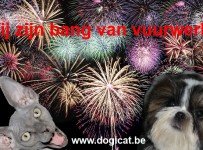 vuurwerk tips bij huisdieren