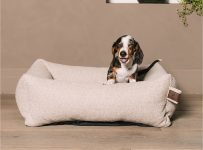 Waar op letten bij het kopen van een hondenbed